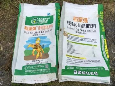 芒种耕作时,遍地开“肥”花!-- 茂施一次性施肥开启安庆种植新时代!