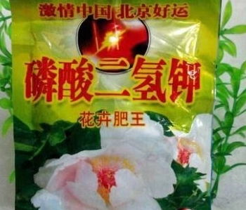 想让蟹爪兰 2次 开花,1种 白粉末 掺水浇,30天花开爆盆